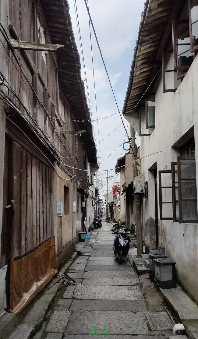 春雨直播app